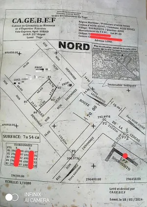 Terrain 754 m² en vente en bordure de voie à Sogbossito près du carrefour Kpogli – 30 millions FCFA — photo 5