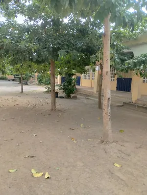 Complexe scolaire 4 lots en vente à Zanguéra Klémé – 300 millions FCFA