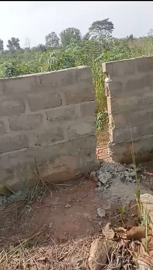 Terrain 6,5 lots en vente en angle de rue à Kpala Djigbé – 12 millions FCFA le lot — photo 3