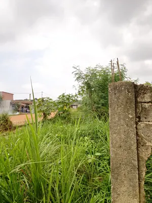 Terrain demi-lot en vente en bordure de grande route à Agoè Sogbossito Somayaf – 15 000 000 FCFA — photo 4