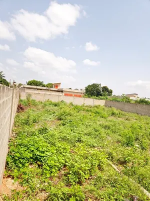 Terrain demi-lot angle de rues à vendre à Agoè Sogbossito Anokui – 18 millions FCFA — photo 4