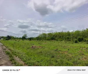 Terrain 100 lots (10 hectares) en vente en bordure du goudron RN1 à Lilikopé – 5 millions FCFA l'unité — photo 3