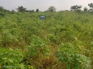 Terrain demi-lot en vente à Atoukpancopé route d'Aveta – 3,5 millions FCFA — photo 2