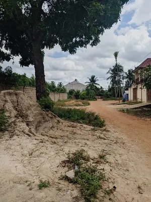 Terrain demi-lot clôturé en vente à Adidogomé Sagbado École Franco Arabe – 12 500 000 FCFA — photo 3