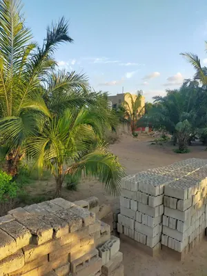 Terrain de plus d'un demi-lot en vente à Adétikopé – 4 millions FCFA — photo 3