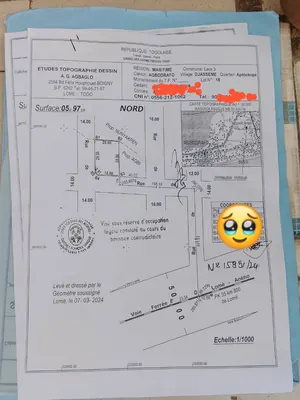 Terrain 1 lot en vente à Agbodrafo Djassémé, angle de rue, bord du goudron – 12 millions FCFA — photo 3