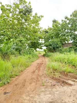 11 lots 5 pièces 6651 m² en vente à Kovié Dzemeké – 45 millions FCFA — photo 9