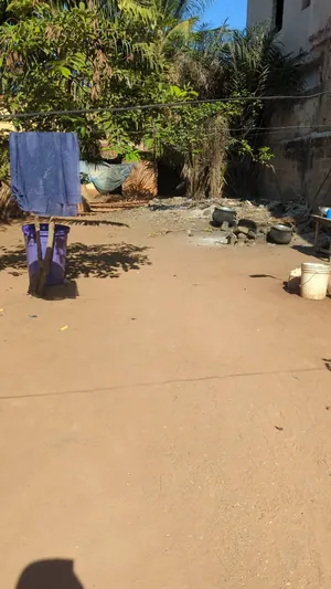 Vente d'un terrain à Nanégbé, demi-lot (30/10), 2 pièces, clôturé, proche du goudron – 19 millions FCFA à débattre