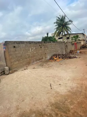 Terrain 1 lot (600 m²) en vente à Agoé Entreprise de l'Union – 33 millions FCFA — photo 3
