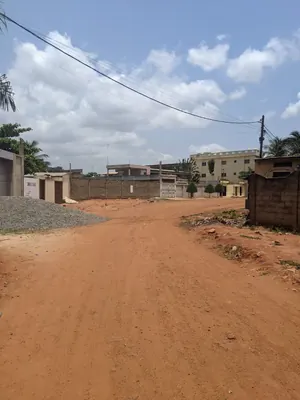 Terrain demi-lot à vendre à Agoè Assiyéye à 100 m du goudron – 30 millions FCFA — photo 2