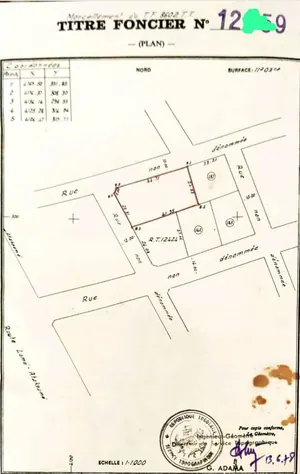 Terrain 1 lot en vente à Tokoin Colombes de la Paix – 85 millions FCFA
