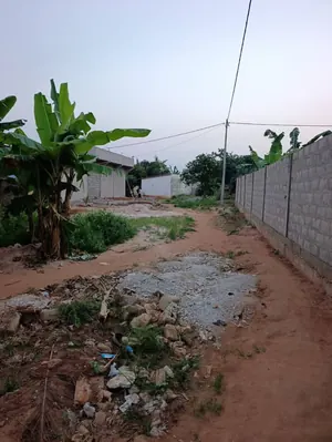 Terrain demi-lot de 300 m² en vente à Dangbéssito – 15 millions FCFA