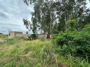 Terrain 2 lots de 1200 m² en vente au bord de la voie Légbassito-Tové à Apessito – 25 millions FCFA le lot