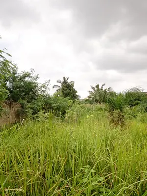 Terrain demi-lot en vente en bordure de grande route à Agoè Sogbossito Somayaf – 15 000 000 FCFA — photo 2