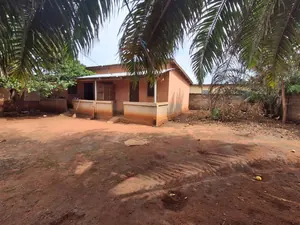 Terrain demi-lot à vendre à Agoè Demakpoe – 25 millions FCFA