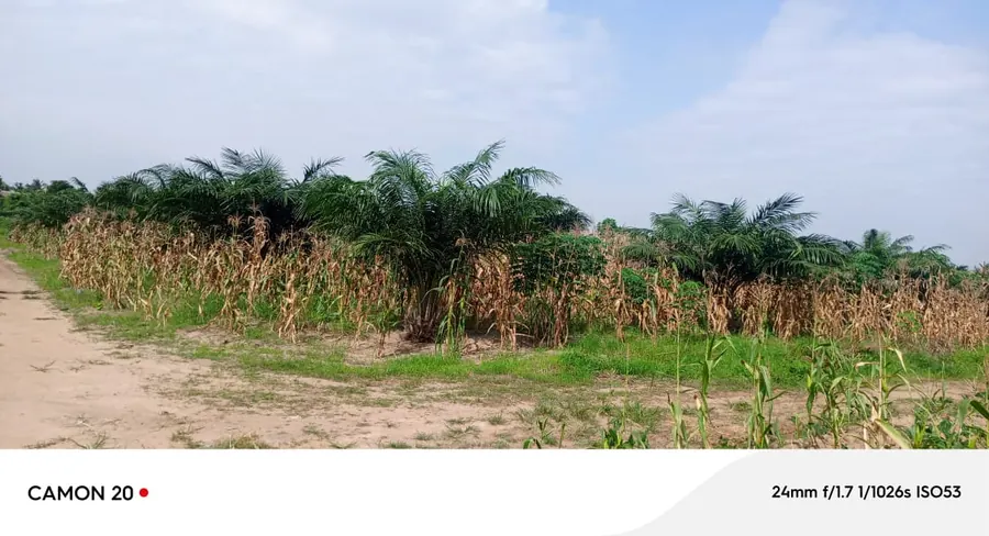 Terrain 21 lots en vente à Adetikopé Logoé derrière PIA – 315 millions FCFA