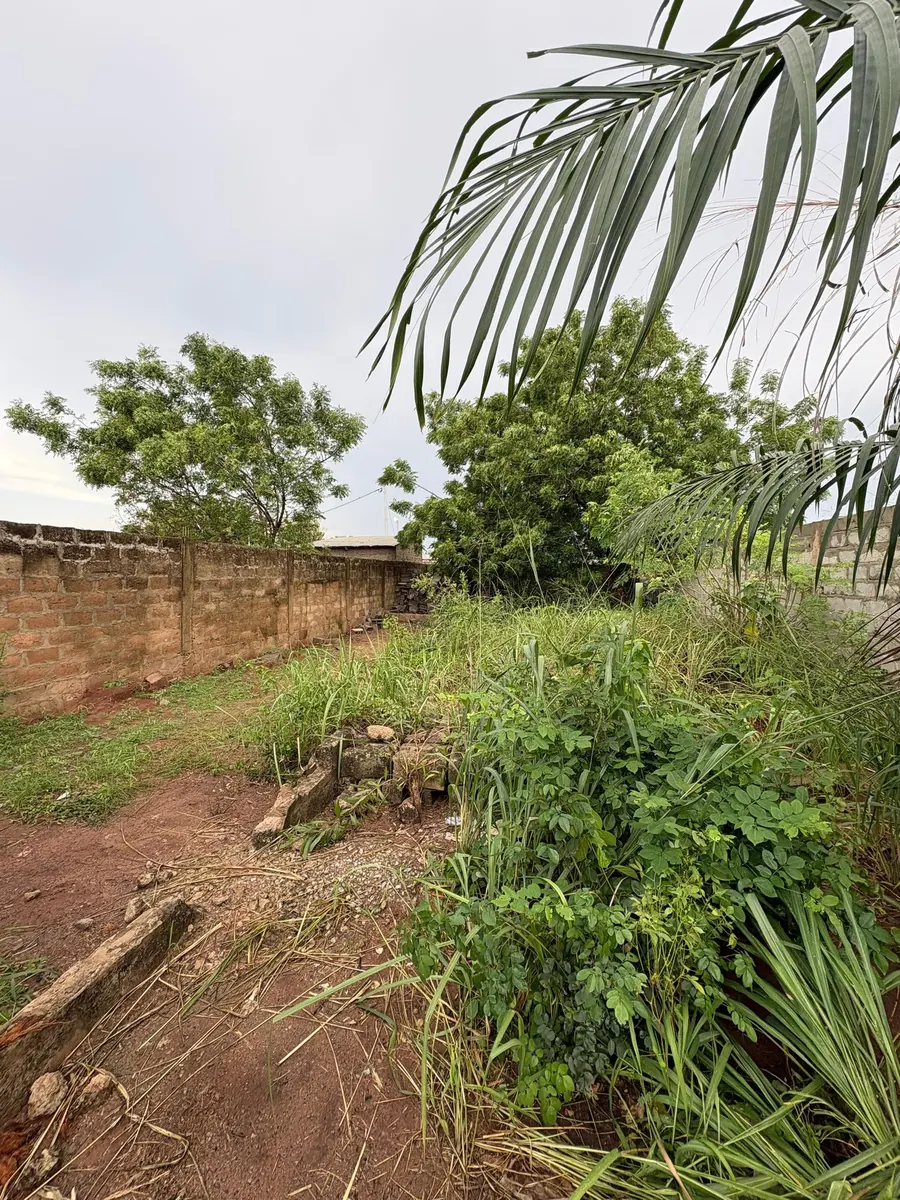 Terrain demi-lot clôturé en vente à Zanguera IPG – 14 millions FCFA