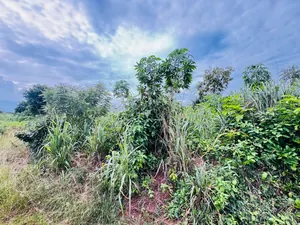 Vente de terrains à Aképé Assiamagbéta, 24 lots disponibles à partir d'un demi-lot – 8 millions FCFA le lot — photo 3