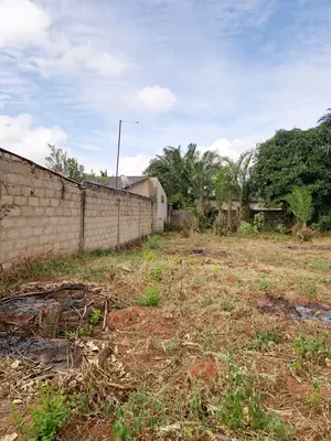 Vente d'un terrain à Agoè Logopé Carrefour Bar Épervier, demi-lot 300 m², clôturé – 15 000 000 FCFA — photo 1