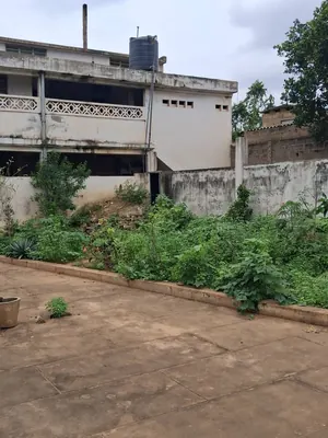 Maison 4 chambres avec garage de 600 m² en vente à Zanguera Dekpo – 30 000 000 FCFA — photo 4