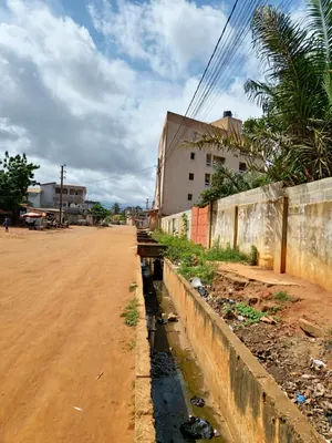Vente d'un terrain à Agoè Cacaveli, 1 lot face à une voie de 32 m, à 50 m du goudron – 55 millions FCFA — photo 4