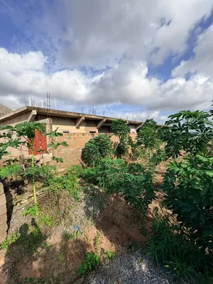 Terrain en vente à Legbassito Kognito, angle de rues – 4 lots collés et 1 demi-lot – 15 millions FCFA le lot — photo 4