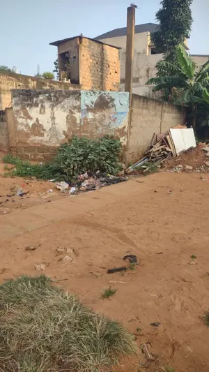 Terrain 150 m² en vente en angle de rue à Kégué Attigangomé – 13 millions FCFA — photo 2