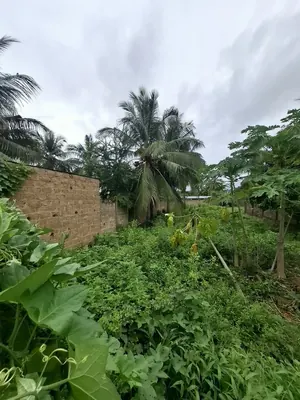 Terrain clôturé de 678 m² en vente à Ségbé, proche du goudron – 28 000 000 FCFA — photo 5