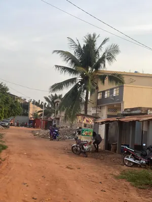 Terrain demi-lot à vendre à Agoè Mariam – 25 millions FCFA — photo 3