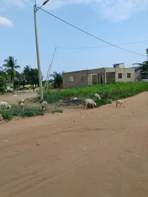 Vente de terrain à Legbassito Ahonkpoé, 2 lots collés, 1200 m², face à l'école primaire – 15 millions FCFA — photo 5