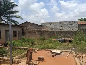 Terrain demi-lot à vendre à Agoè Assiyéye à 100 m du goudron – 30 millions FCFA — photo 4