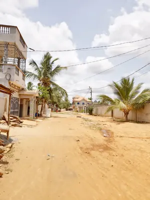 Terrain demi-lot 300 m² en vente à Agoè Sogbossito Oando – 15 millions FCFA — photo 4