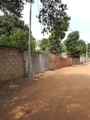 Terrain 2 lots de 1200 m² à vendre à Agoè Fiovi – 70 millions FCFA — photo 3
