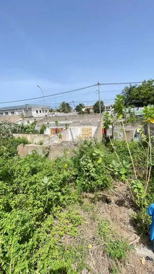 Terrain 1 lot en vente au bord du Boulevard Circulaire du 13 Janvier – 300 millions FCFA