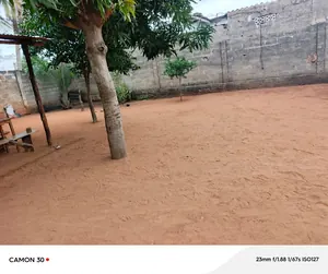 Terrain de 150 m² en vente à Agoé Carrefour Cool Caché – 10 millions FCFA — photo 4
