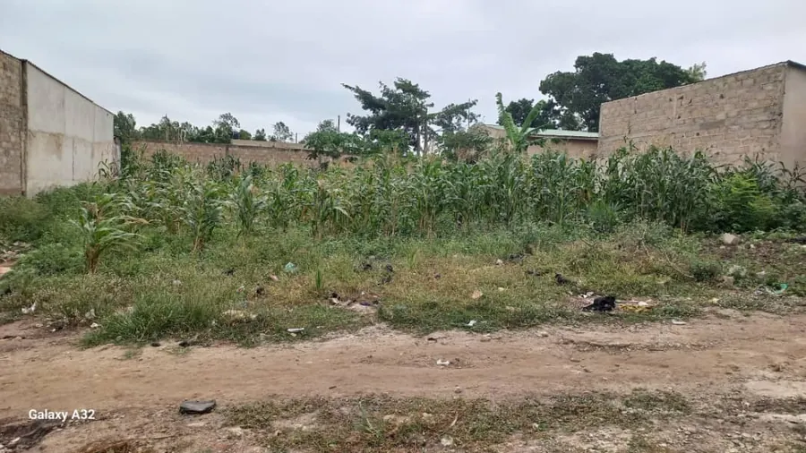 Terrain 1 lot à vendre à Klobatemé – 10 000 000 FCFA