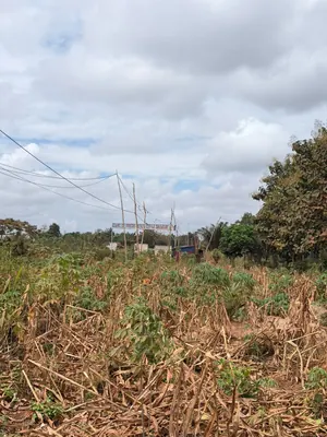 Vente de terrain à Noépé, 2 lots en bordure de voie de 70m – 10 millions FCFA le lot — photo 3