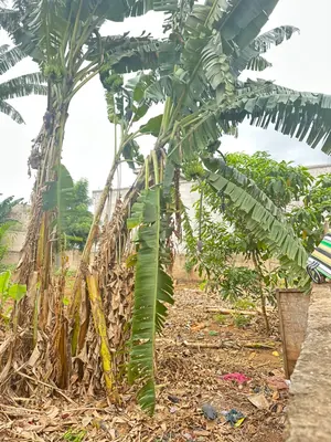 Terrain demi-lot en vente à Agoé Sogbossito – 15 millions FCFA — photo 6