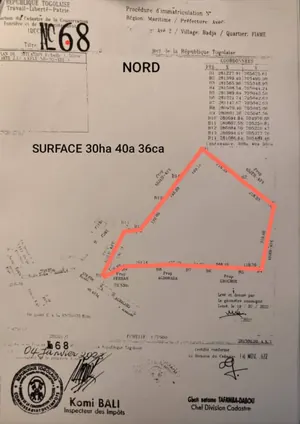 Vente de 20 hectares à Badja Fiamè, titre foncier personnel – 4,5 millions FCFA l'unité