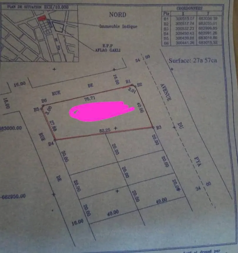 Terrain 2700 m² en vente en bordure de goudron à Djidjolé Adidoadin – 450 millions FCFA