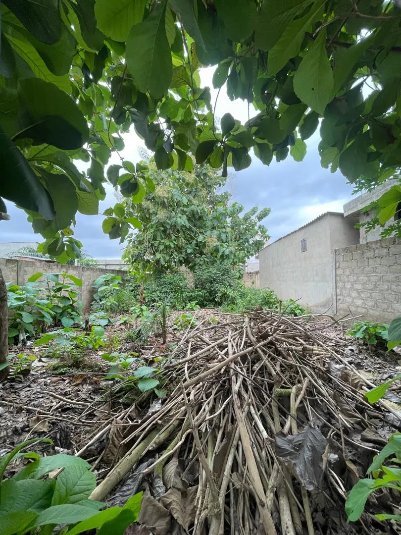 Terrain demi-lot en vente à Adidogomé Segbé – 12 000 000 FCFA