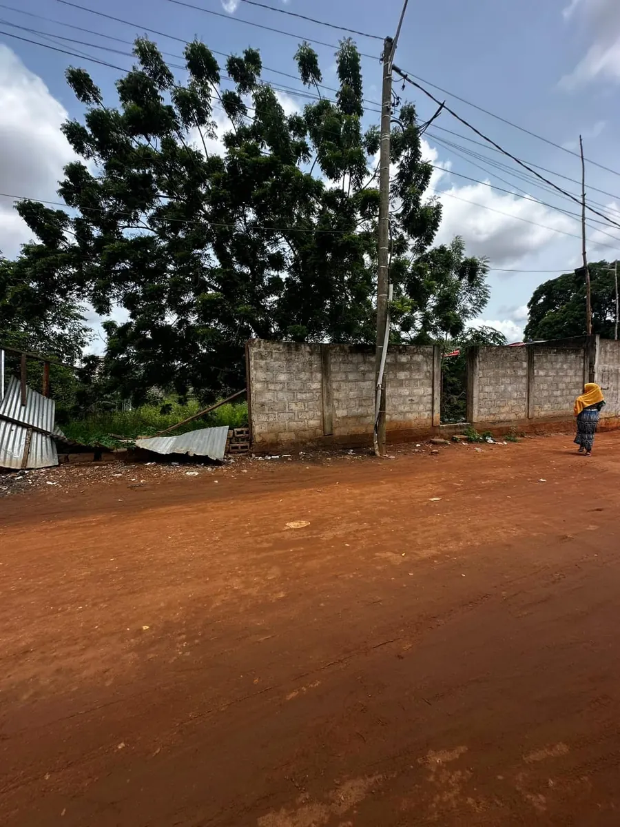Terrain 600 m² en vente à Agoè Fil O Parc à 100 m de la Nationale N°1 – 57 millions FCFA