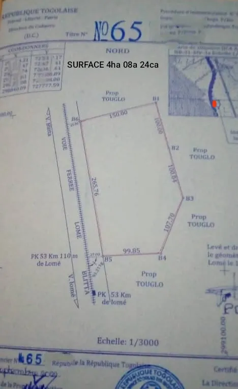Terrain 4 hectares en vente à Tsevié Lilikopé Touni Kopé – 20 millions FCFA l'hectare