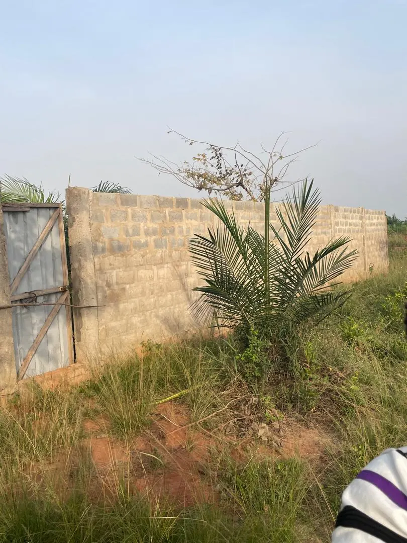 Terrain 1681 m² en vente en angle de rue à Kpala – 13 millions FCFA le lot