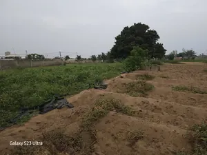 Terrain 2100 m² en vente en angle de rue à Baguida Centre Aéré de la BCEAO – à partir de 150 millions FCFA — photo 4