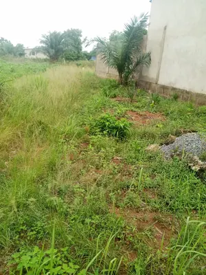 Terrain 6000 m² en vente à Mission Tové Adidomé – 9 millions FCFA le lot — photo 4
