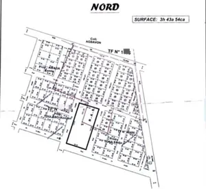 Terrain en vente à Bagbé entre Noépé et Djéméké – 2,5 millions FCFA