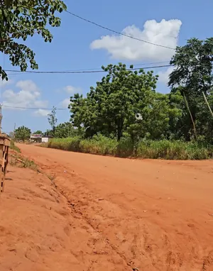 Terrain 384 m² en vente en bordure de goudron à Apéssito – 18 000 000 FCFA — photo 2