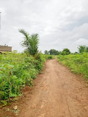 11 lots 5 pièces 6651 m² en vente à Kovié Dzemeké – 45 millions FCFA — photo 5