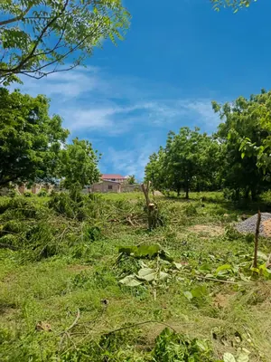 Terrain demi-lot de 300 m² en vente à Zanguera Aképédok – 7,5 millions FCFA — photo 2